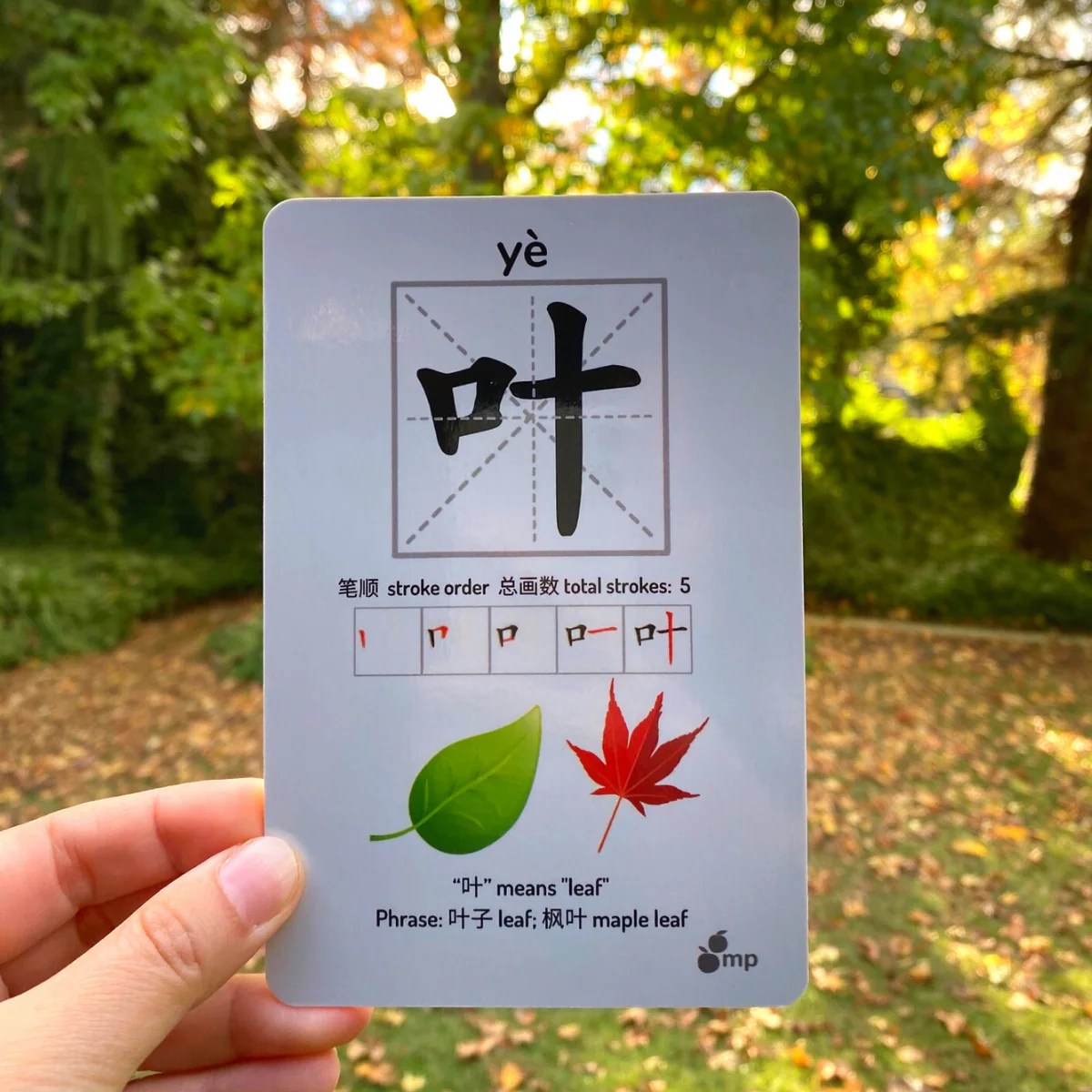 Tarjeta de memoria con el carácter chino 叶 (yè, hoja), mostrando orden de trazos e imágenes de hojas verde y roja
